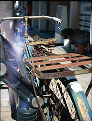 tn_Image16