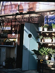 tn_Image8