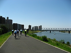 江戸川左岸を下る
