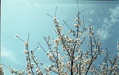 tn_Image26
