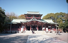 tn_Image3