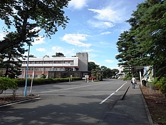 tn_R0011018