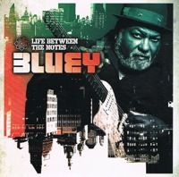 bluey2