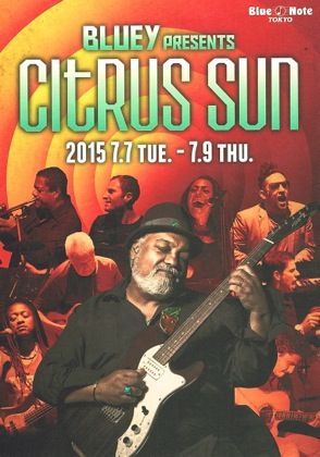 citrus sun