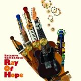 山下達郎　Ray Of Hope LP □ RAY OF HOPE ／ 山下達郎 : Light Mellow on the web