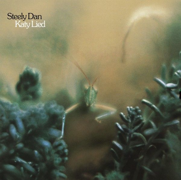 s.dan_katy lied