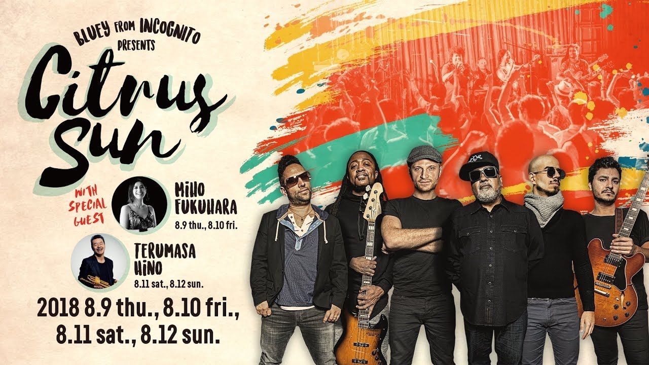 citrus sun 2018