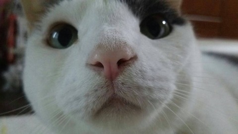 11106