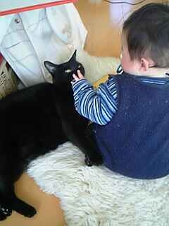 ねこかあさん : カータンBLOG あたし・主婦の頭の中 Powered by