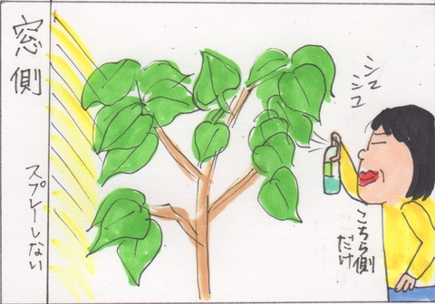 スキャン 2965
