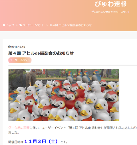 アヒル撮影会の予告