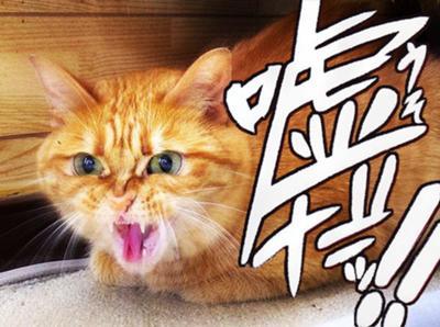嘘だッ!!