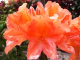 P1100421