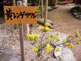 P1100422