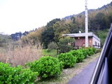 P1100458