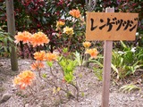P1100420