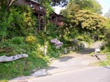 P1100516