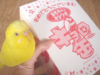 キョロ缶がやって来た=!