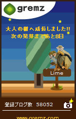 Gremz_may2017_エコバッグ_夜