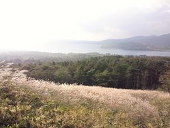 NEC_0007
