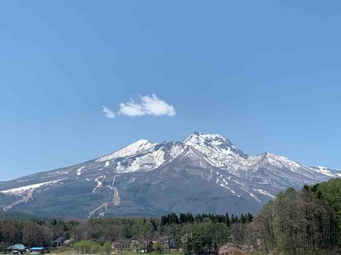 IMG_2214