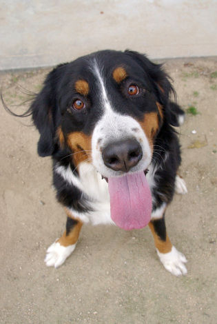100_85640