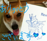 BlogPaint