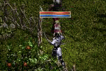 b7e9cb60.gif