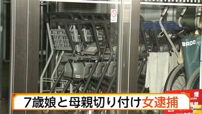 6f93858f (1)