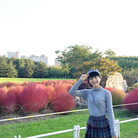 0fb45d4c (1)