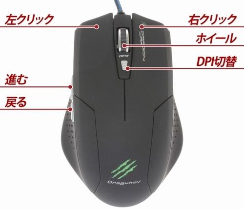 Mouse-DN-13907 Mouse-DN-13907