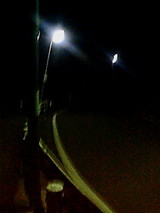 95a6d541.jpg