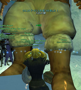KingDrayek