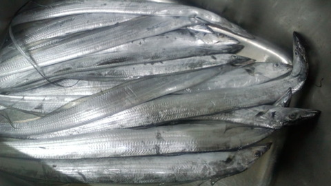 b8ebc64e.jpg