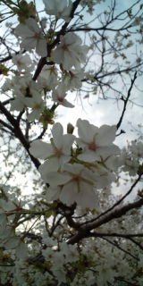 7d3985f7.jpg