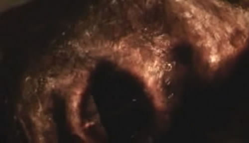 the invasion 1