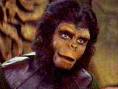 cornelius pic
