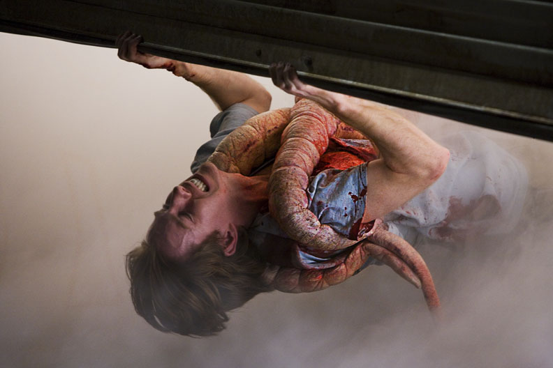 the mist