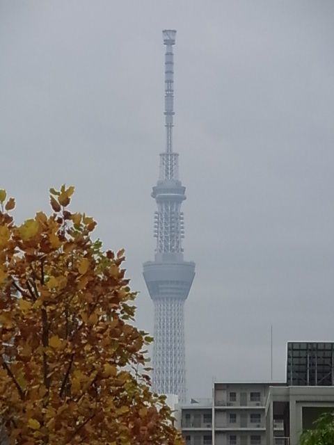 RIMG1572