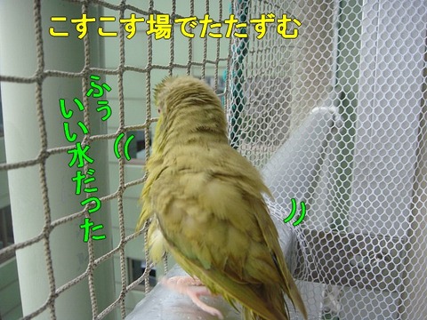 DSC06482-1