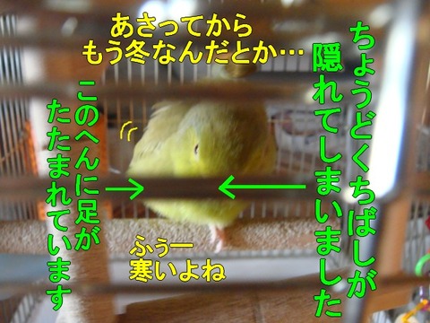 DSC05368-1