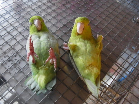 R0021710