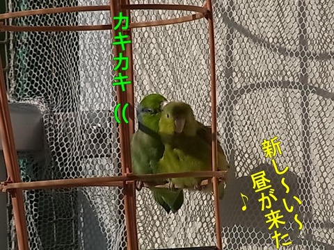 RIMG1752-1