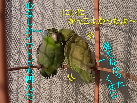 RIMG1740-2
