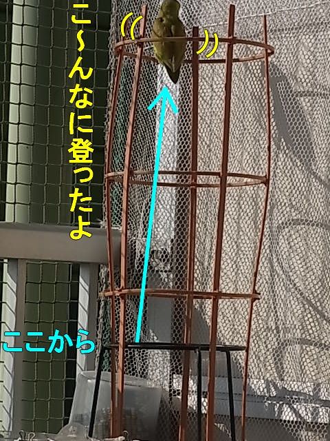 RIMG1121-1