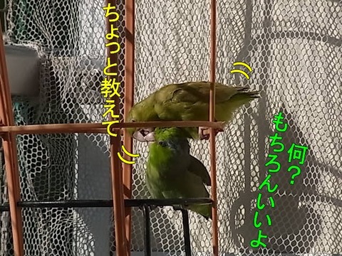 RIMG1756-3