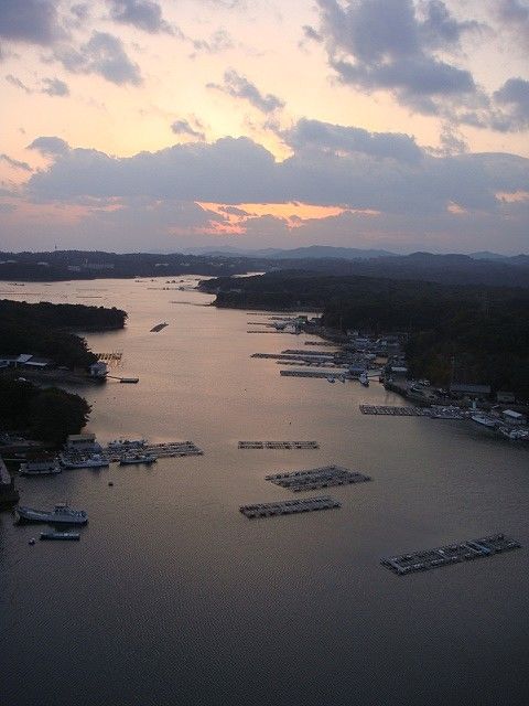 DSC05991-1