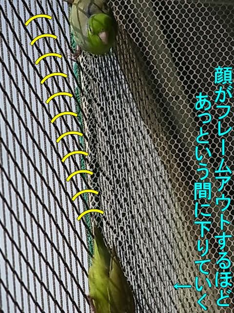 RIMG1189-1