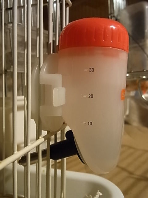 RIMG1707