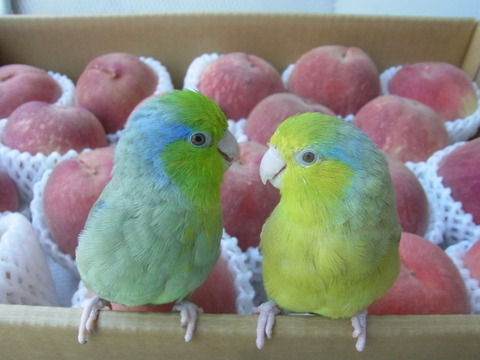 R0025150